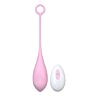 Huevo Vibrador Loving Joy Control Remoto 10 Funciones