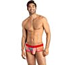 Calzoncillos Sexy ANAIS MEN Falcon Boxer Brief
