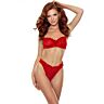 Conjunto Lencería Passion Catilla Rojo Seductor