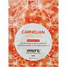 Aceite de masaje Exsens Carnelian Apricot 3 ml