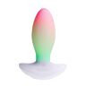 Vibrador Paradise Pleasure Products The Plug con iluminación RGB