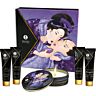 Shunga - Secret Geisha Frutas Exóticas - Set de Masaje Erótico