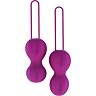 Bolas vaginales Nomi Tang IntiMate Plus para entrenamiento