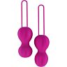 Bolas vaginales Nomi Tang IntiMate Plus para entrenamiento