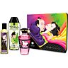 Kit Fruity Kisses SHUNGA KITS – Aceites y lubricante
