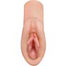 Masturbador PDX PLUS+ Great Pussy Dream Stroker con realismo