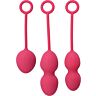 Bolas vaginales SVAKOM NOVA PLUM RED para entrenamiento progresivo