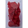 Pétalos Sensuales Ruby