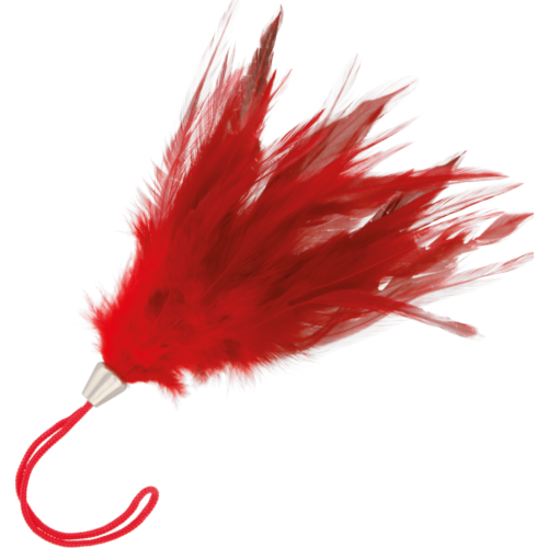 Pluma Estimuladora DARKNESS 17cm para Cosquillas Eróticas