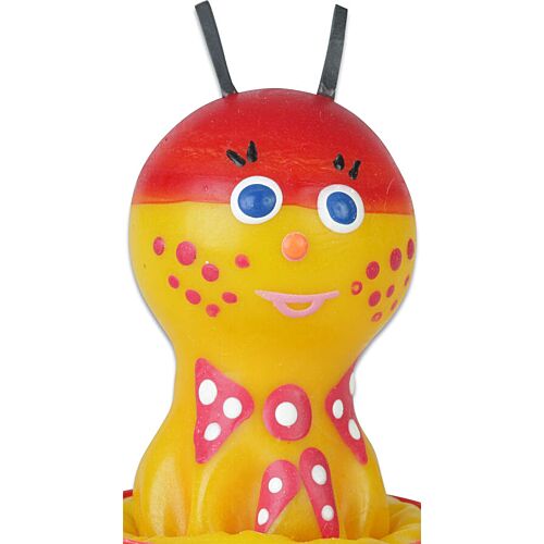 Preservativo Decorativo Condomerie Escarabajo Pintado a Mano