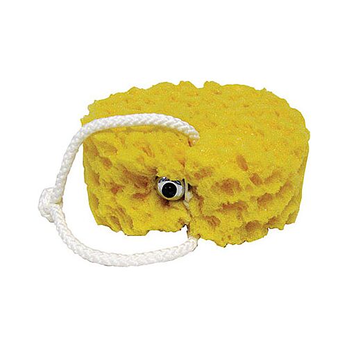 VIBRATING FOAM SEA SPONGE