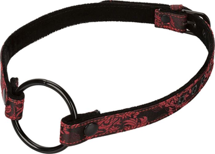 Mordaza boca abierta scandal