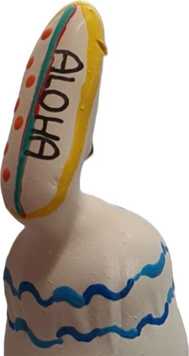 Preservativo Decorativo Condomerie Tabla Surf