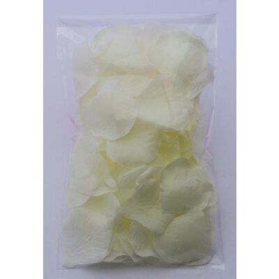 Blanco Floral Sensual