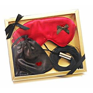 Látigo Dominatrix Kit