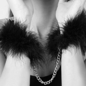 Plumas de Seducción