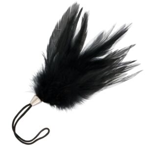 Pluma Estimuladora DarkTouch