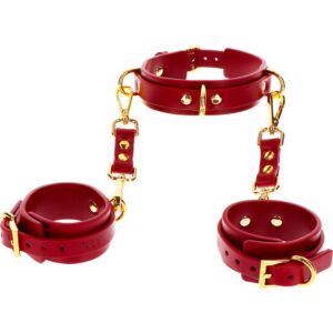 Correa Taboom D-Ring & Muñequeras: Libertad Sensual