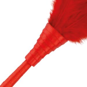 Pluma Roja Vibrante