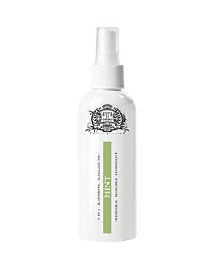 Touche ice lubricante comestible menta 80 ml