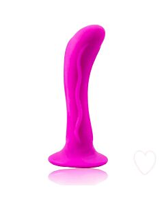 Plug Passionado