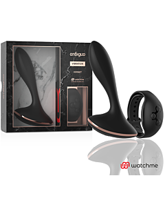 VibraPlug Control Remoto