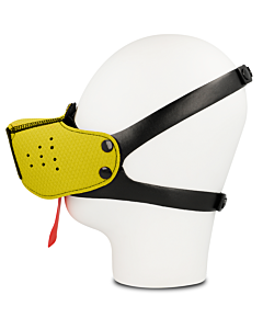 Bozal Amarillo Ohmama