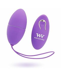 Huevo Control Remoto VibraSilk