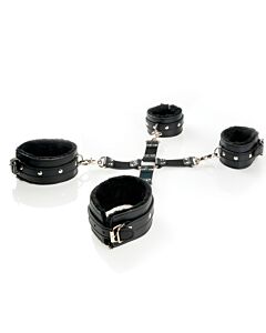 Esposa Dominatrix Fantasy