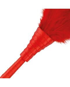 Pluma Roja Vibrante