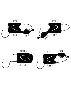 Vibrastroker Dual