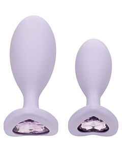 Dúo Anal Crystal Violeta