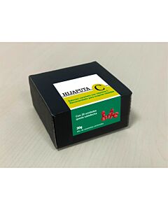 Delicias Frutales para Consentir