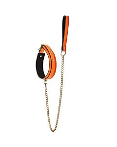 Collar y Correa Glow Naranja Dream Toys
