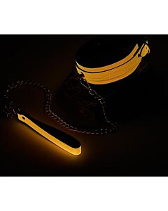 Collar y Correa Glow Naranja Dream Toys