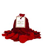 Trail of roses petalos rojos