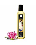 Shunga erotic aceite de masaje dulce de loto