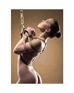 Cuerda shirabi marron