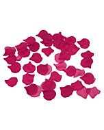 Pétalos Fucsia Glamouroso