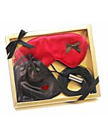 Látigo Dominatrix Kit