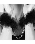 Plumas de Seducción