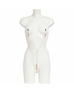 Cincuenta sombras liberadas cadenas para pezones y clitoris