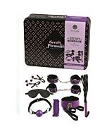 Kit Morado Intenso Bondage 8P