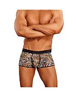Male power short estampado leopardo marron