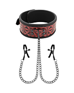 Collar BDSM Red Pleasure