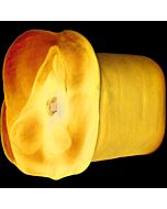 Apollo masturbador dual density azul