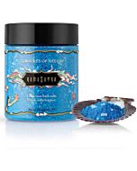 Maravillas Acuáticas del Placer