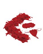 Amour kit ama de casa sexy