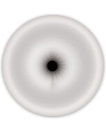 Renegade universal masturbador ano