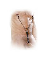 Fetish fantasy pinzas para pezones con anillo para pene